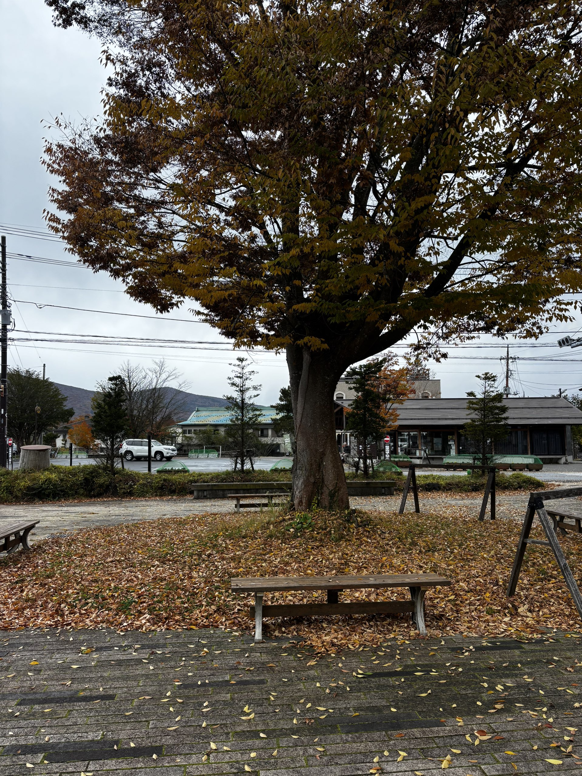 Mount Fuji trip photo 2
